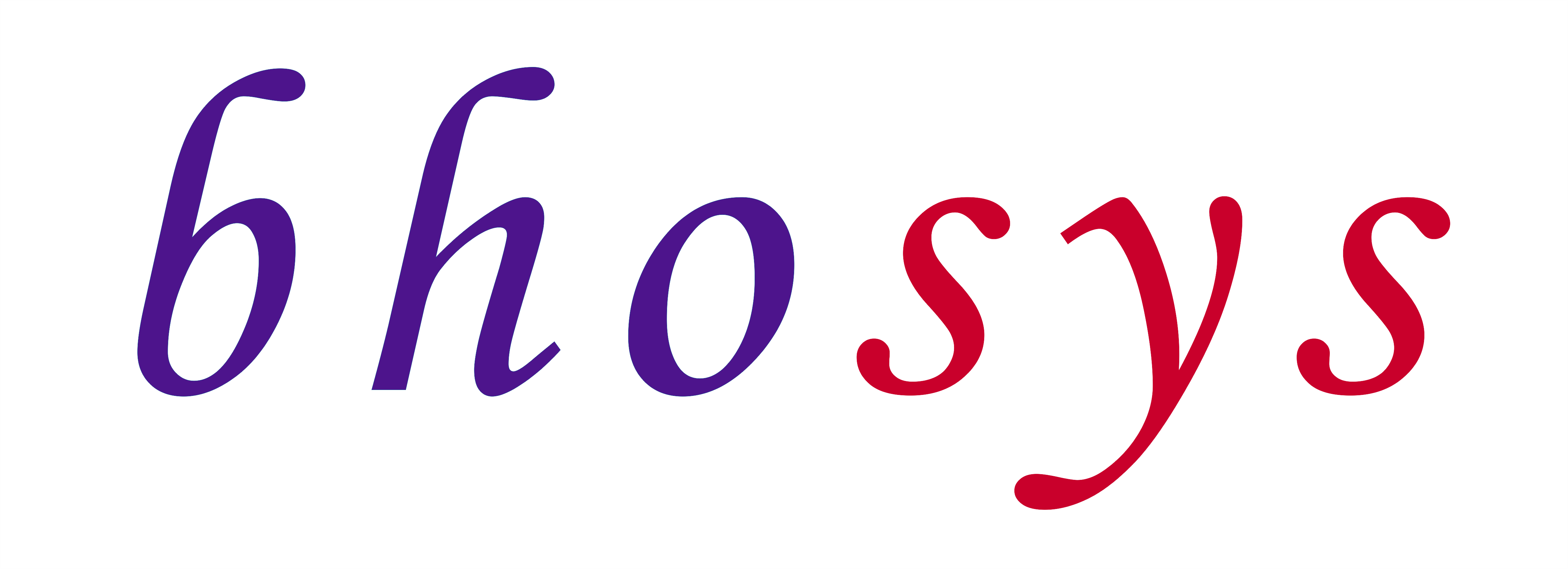 BHOSYS Logo