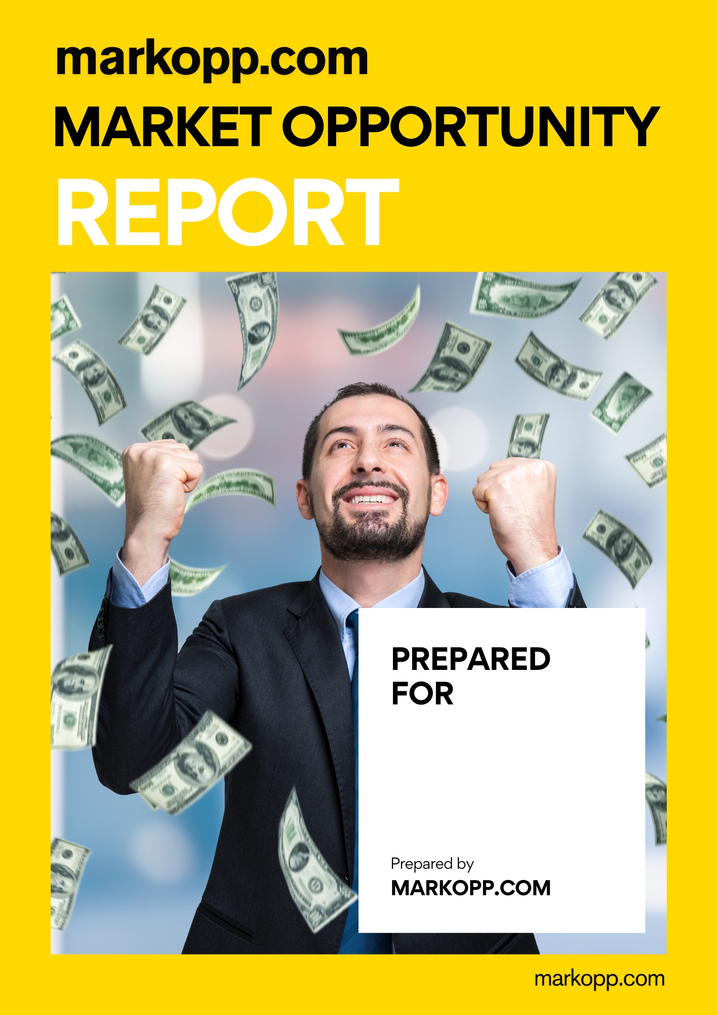 Market Opportunity Analysis Tool for SME Owners